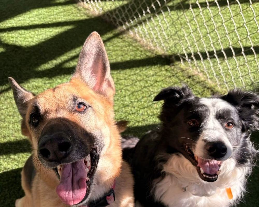 Daycare with room to run.